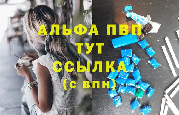 ГАЛЛЮЦИНОГЕННЫЕ ГРИБЫ Сосновка